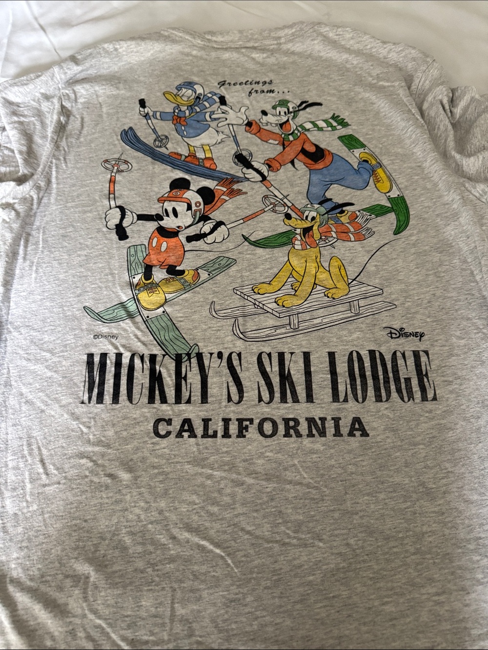 Hollister Light Heather Gray Short Sleeve Tee with Disney Mickey ski - Picture 4 of 4